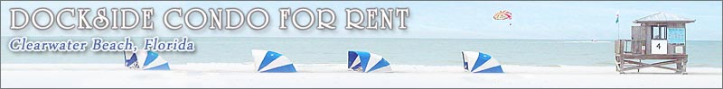Bella Rosa Condos Home Page Clearwater Beach Sand Key